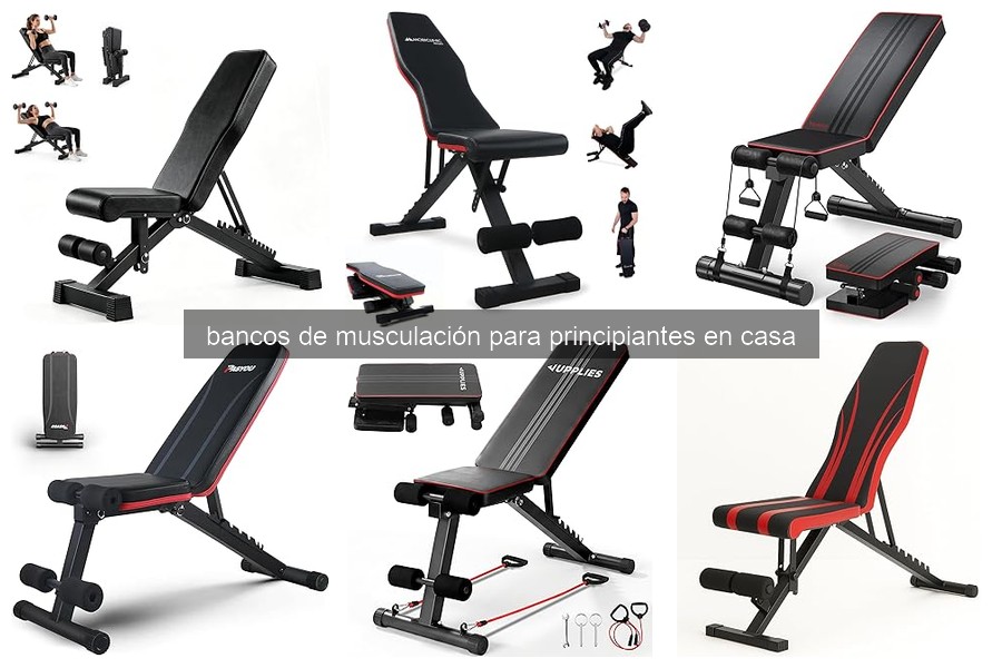 Guía para elegir el mejor banco de musculación para principiantes