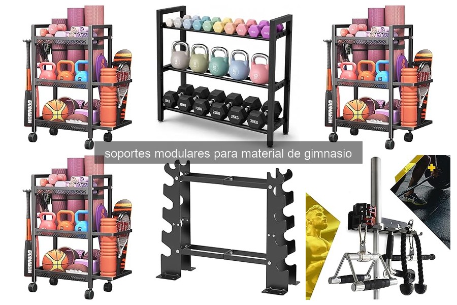 ¿Qué son los soportes modulares para material de gimnasio?
